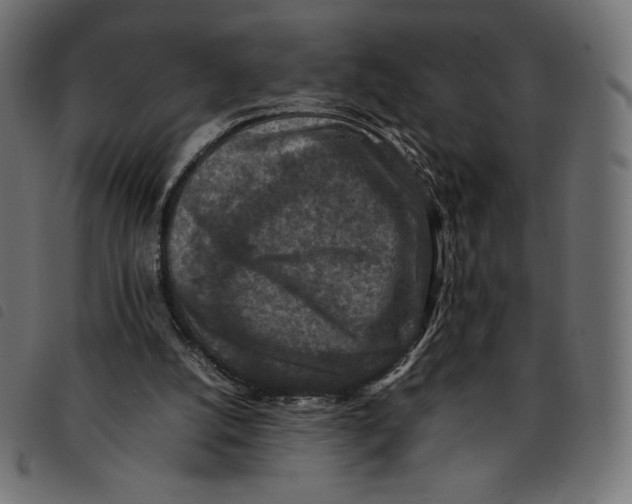 X0000092250056200710121307