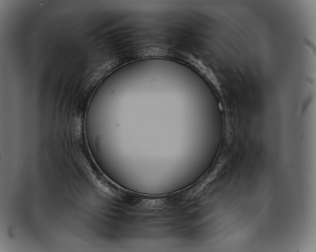 X0000092250057200710121308