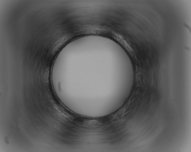 X0000092250058200710121308