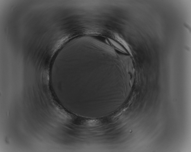 X0000092250059200710121308