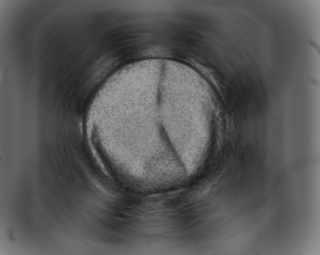 X0000092250061200710121308