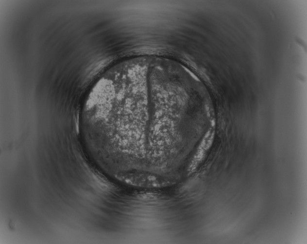 X0000092250062200710121308