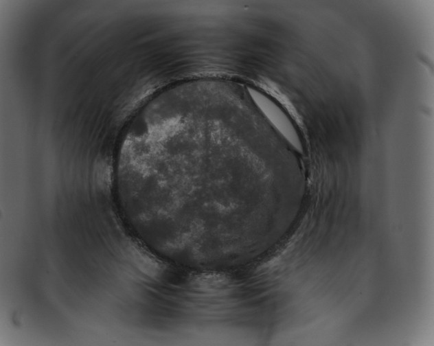 X0000092250063200710121308