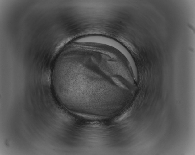 X0000092250064200710121308