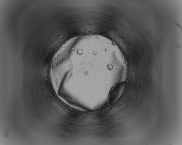 X0000092250065200710121308