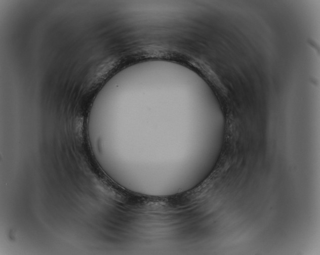 X0000092250066200710121308