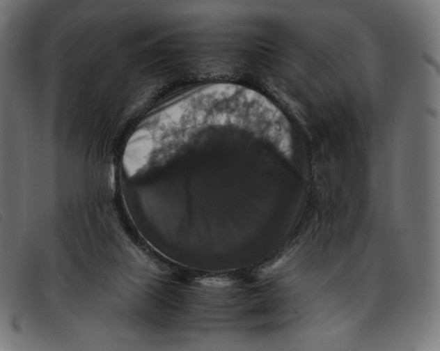 X0000092250067200710121308