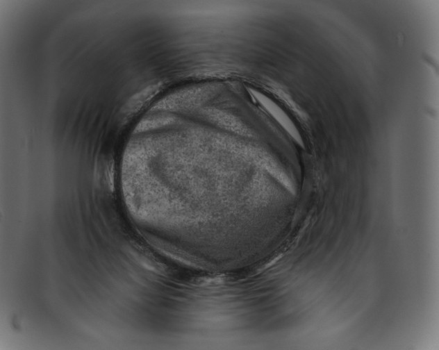 X0000092250068200710121308