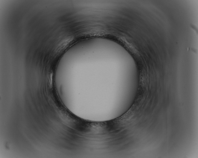 X0000092250070200710121308