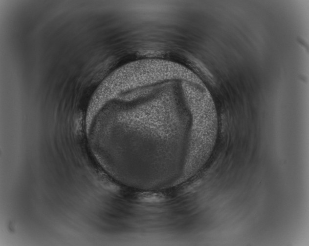 X0000092250073200710121308