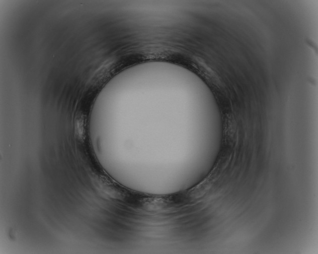 X0000092250074200710121308