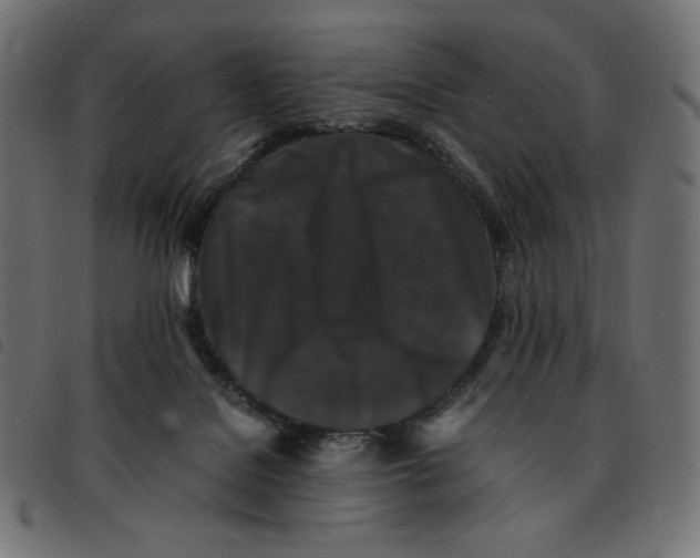 X0000092250076200710121308