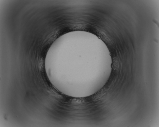 X0000092250077200710121308