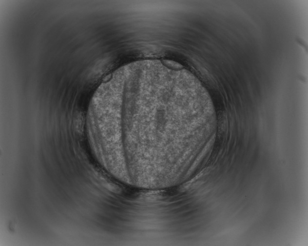 X0000092250078200710121308