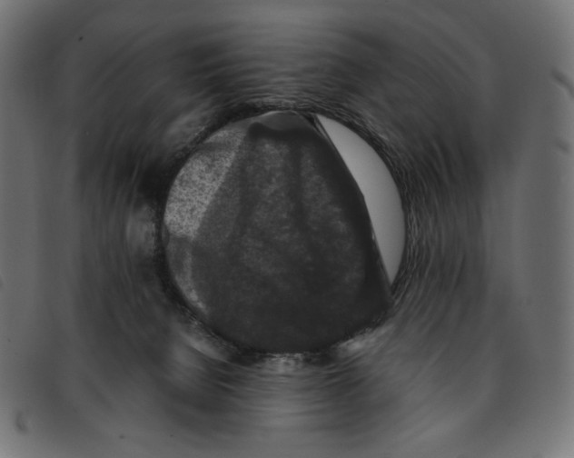 X0000092250080200710121308
