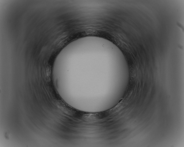 X0000092250082200710121308