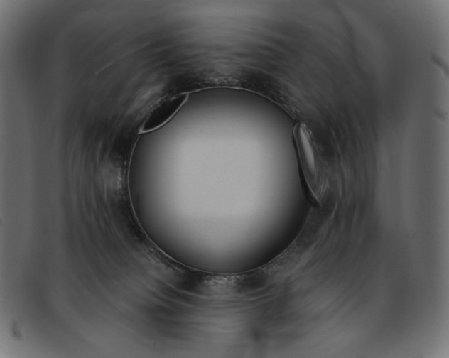 X0000092250084200710121308