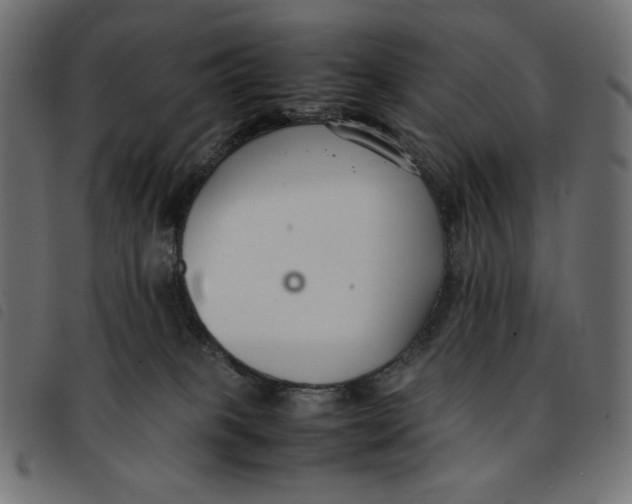 X0000092250085200710121308
