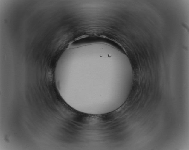 X0000092250086200710121308