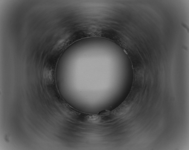 X0000092250088200710121308