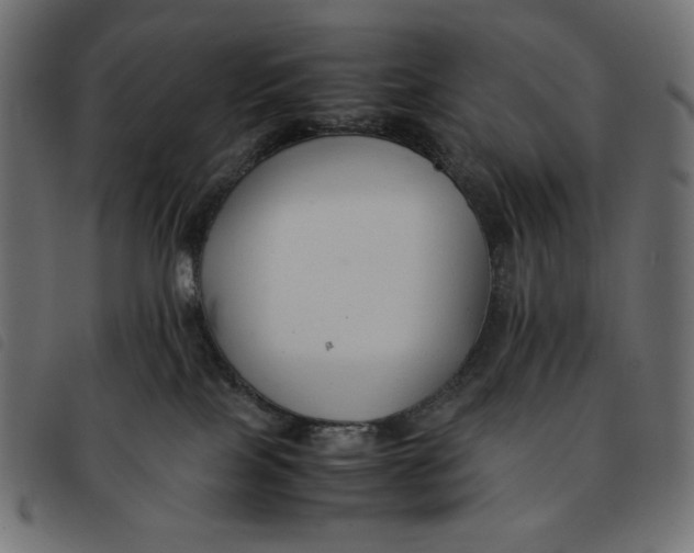 X0000092250089200710121308