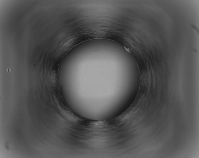 X0000092250092200710121308