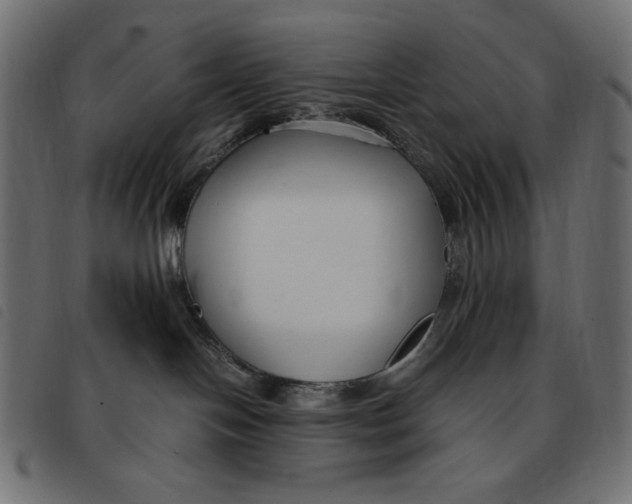 X0000092250094200710121308