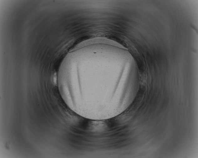X0000092250095200710121308