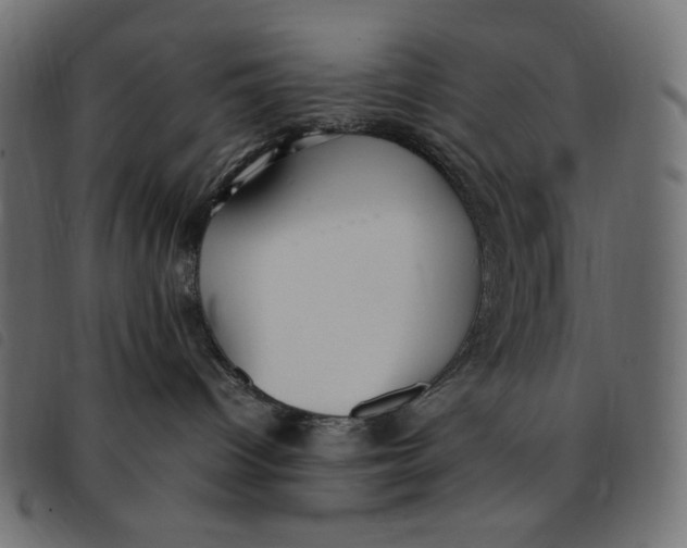X0000092250096200710121308