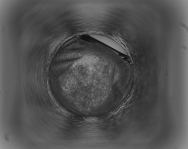 X0000092250097200710121307