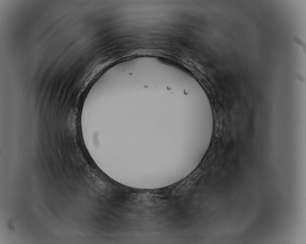 X0000092250098200710121307