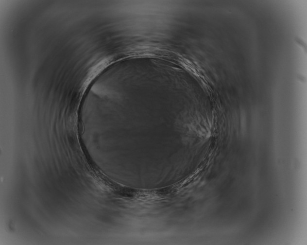 X0000092250099200710121307