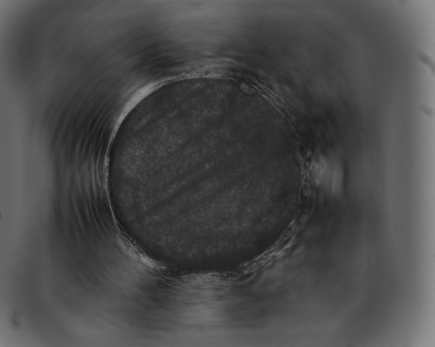 X0000092250100200710121307