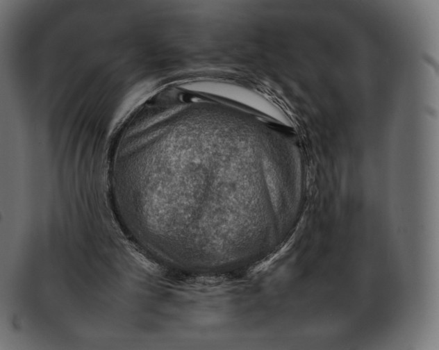 X0000092250101200710121307