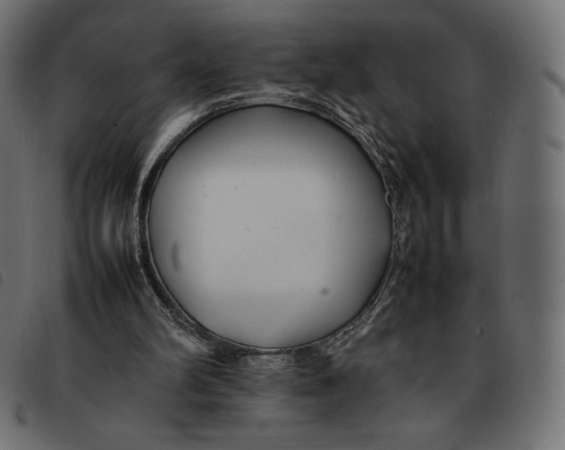 X0000092250102200710121307