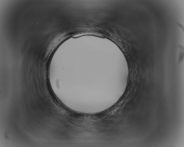 X0000092250103200710121307