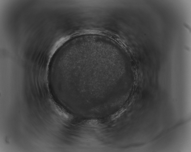 X0000092250104200710121307