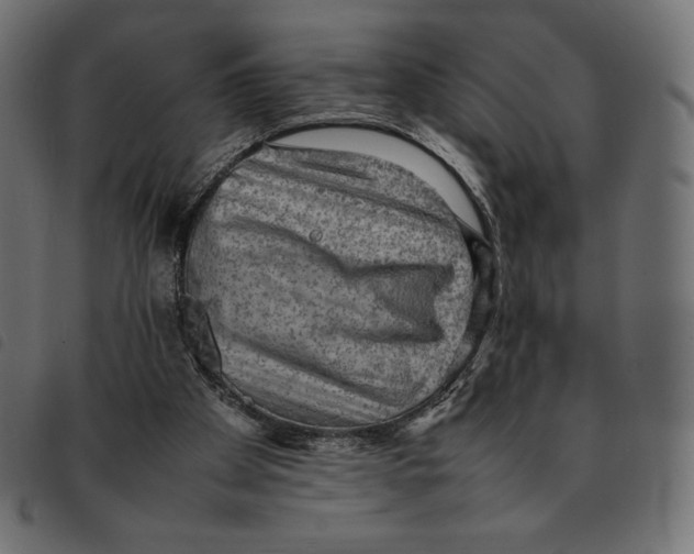 X0000092250105200710121307