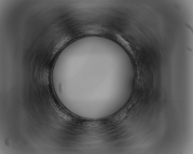 X0000092250106200710121307