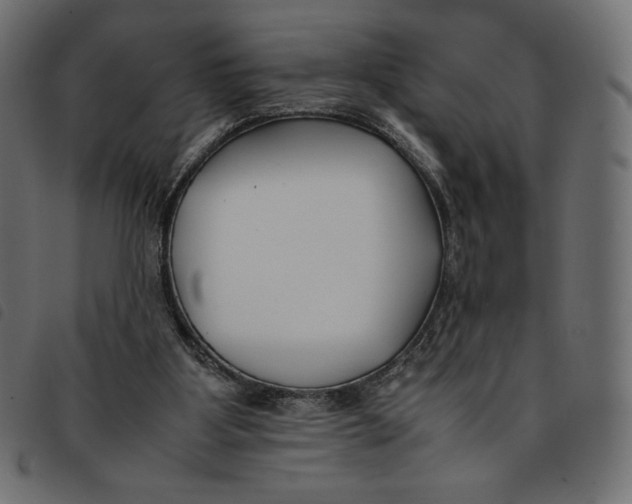 X0000092250107200710121307