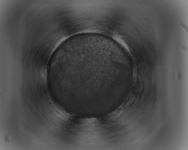 X0000092250108200710121307