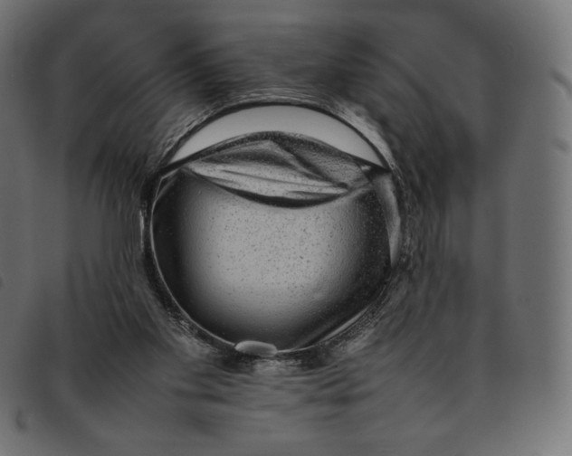 X0000092250109200710121307