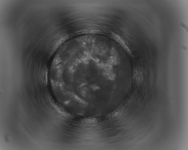 X0000092250110200710121307