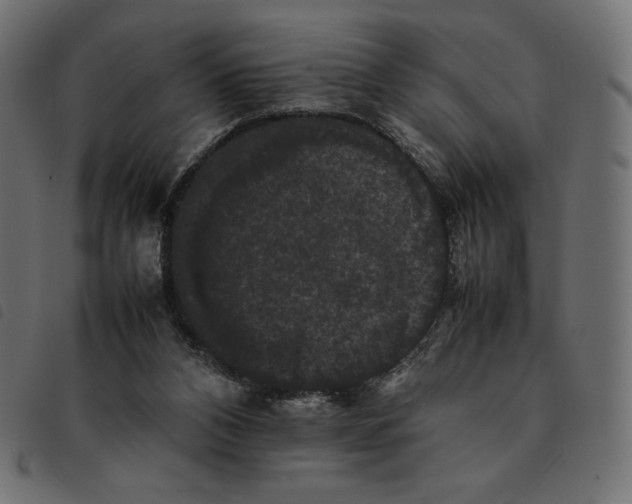 X0000092250112200710121307