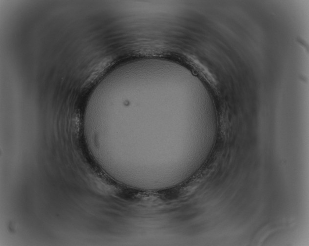 X0000092250113200710121307