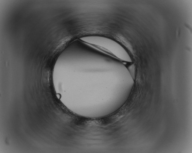 X0000092250115200710121307