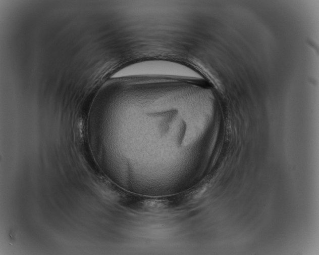 X0000092250117200710121307