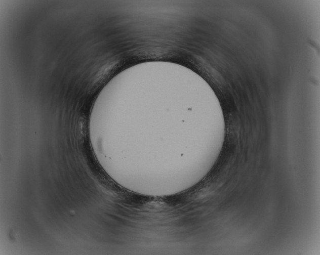 X0000092250119200710121307