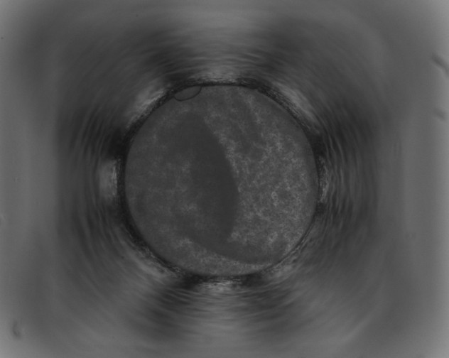 X0000092250120200710121307
