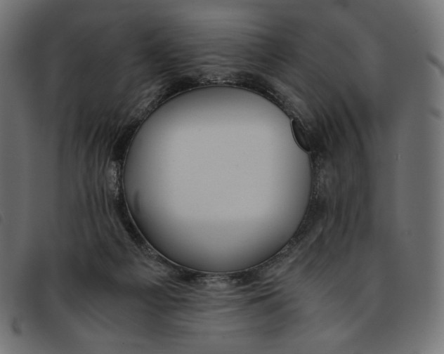 X0000092250121200710121307